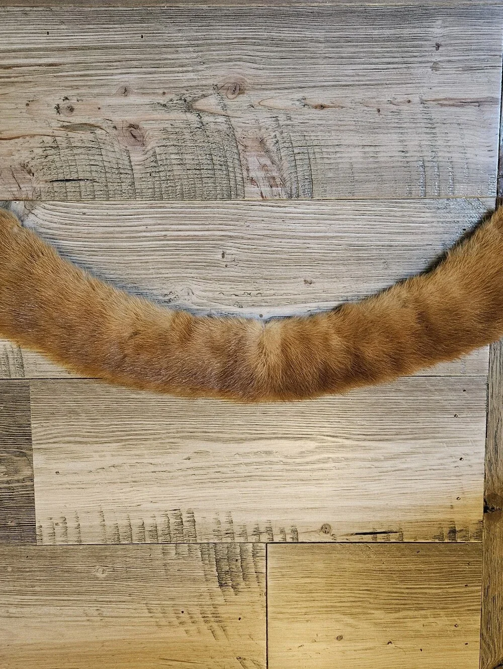 N/A vintage fox